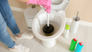 5 Tips To Unclog Your Toilet Drain In Kensington San Diego