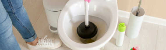 ▷5 Tips To Unclog Your Toilet Drain In Kensington San Diego